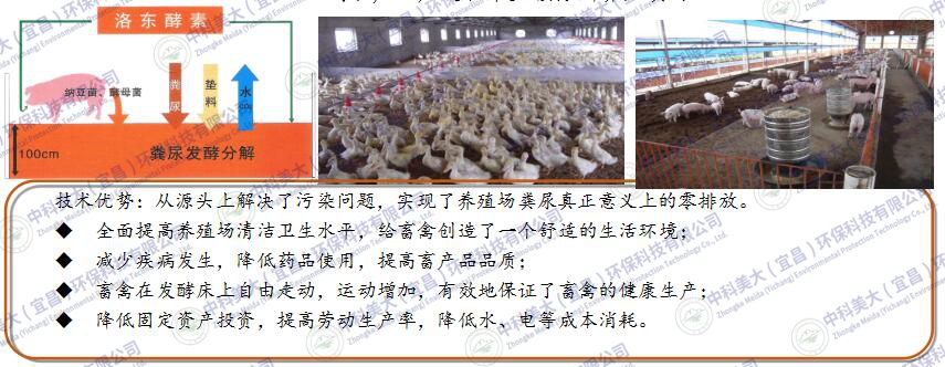 &#67;&#81;&#57;&#30005;&#23376;&#40;&#20013;&#22269;&#41;&#20114;&#21160;&#30334;&#31185;